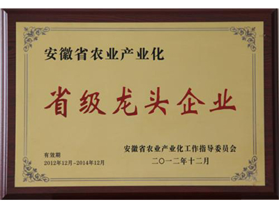 ʡ����ͷ��ҵ