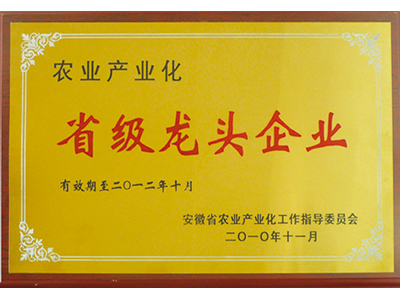 ʡ����ͷ��ҵ