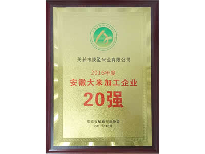 2016��Ȱ��մ��׼ӹ���ҵ20ǿ